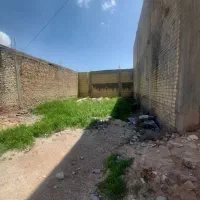 جرسقان-محمود-زارعی