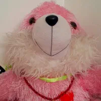 نیم ست یلدایی