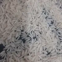 برنج فجر علا