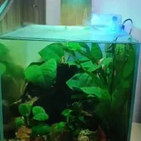 آکواریوم شیشه کریستال