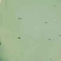 ملحفه|سرویس روتختی|مشهد, چهارچشمه|دیوار