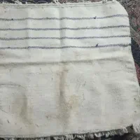 جول روی اسب