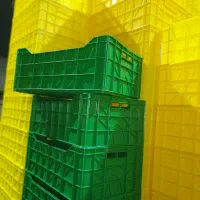 جعبه میلورم پرورش کرم میلورم