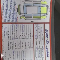 پژو ۹۱ دوگانه کارخانه