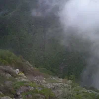 خط همراه اول