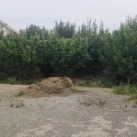 فروش باغ وایقان شبستر جاده گاز شرفتین|فروش خانه و ویلا|شبستر, |دیوار