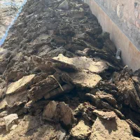 کود حیوانی(گوسفندی) رایگان