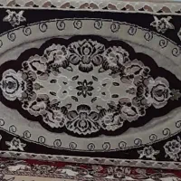 ۴عد پشتی