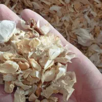 اسلایس سیر  با پوست