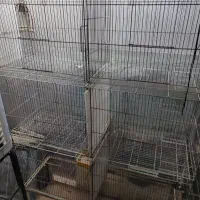 قفس جوجه پران|لوازم جانبی حیوانات|کرج, احدآباد|دیوار