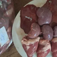 جگر بره کشتار روز|خوردنی و آشامیدنی|قم, آزادگان|دیوار