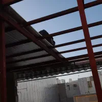 جوشکاری و برشکاری|خدمات پیشه و مهارت|بوشهر, |دیوار