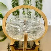 سرویس پذیرایی آبگز