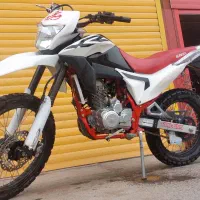 تریل برمودا ۲۵۰ قیمت استثنایی.