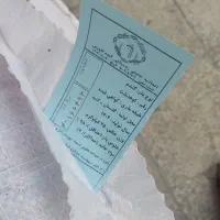 گندم دولتی کوهدشت