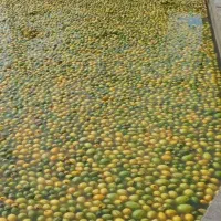 آبلیمو طبیعی