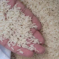 برنج طارم هاشمی فریدون کنار|خوردنی و آشامیدنی|تهران, والفجر (افسریه)|دیوار