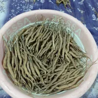 آنغوزه.نشاء|خدمات باغبانی و درختکاری|کاشمر, |دیوار