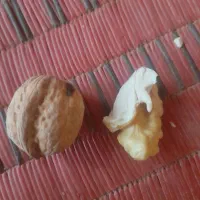 گردوی درجه یک هر پره ش اندازه یک گردوی معمولیه|عمده‌فروشی|بیلوار, |دیوار