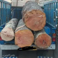 خریدار انواع چوب  همراه با بورش و تخریب