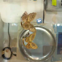 انگشتر پروانه و زنجیر طلا|جواهرات|اردبیل, |دیوار