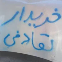 نیسان زامیاد دوگانه سوز