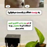 نمایندگی رسمی کرم روز و شب لاکچری کوین فرانسوی