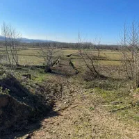 زمین کشاورزی|فروش زمین و ملک کلنگی|رشت, چله خانه|دیوار