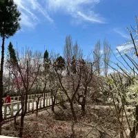 سرایدار تمام وقت برای باغ شخصی شهریار