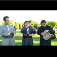 نوازندگی درعروسی-سایر جشنها|خدمات پذیرایی، مراسم|هشتگرد, |دیوار