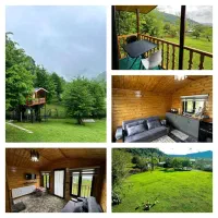 اجاره کلبه جنگلی. استخر داره.جکوزی داره  ماسال|اجارهٔ کوتاه‌مدت ویلا و باغ|ماسال, |دیوار