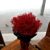 گل جاودان