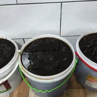 انواع خرما و ترشی سیر 9 ساله|خوردنی و آشامیدنی|تهران, مولوی|دیوار