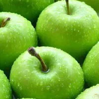 توزیع و ارائه نهال سیب سبز|خدمات باغبانی و درختکاری|میانه, |دیوار