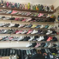 کتونی اورجینا