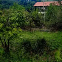 زمینی به مساحت ۲۹۰ متر در روستای ابراهیم سرا