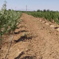 زمین-کشاورزی-باغی-3000-متر