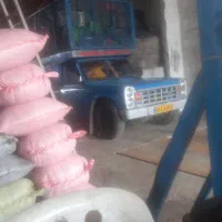 نیروی خانوم جهت امور مالی
