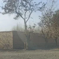 ۲۰۰متر زمین گلبهار سنگ سفید دوردیوار کنار گلخونه|فروش زمین و ملک کلنگی|مشهد, رضاشهر|دیوار