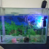 حراج لوازم منزل اکواریوم قفس میز