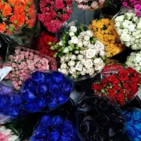 حسابداری|استخدام مالی، حسابداری، حقوقی|شیراز, رکن‌آباد|دیوار