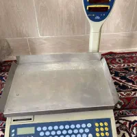 ترازو پند PX8600 با چاپگر