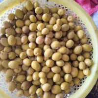 زیتون شکسته