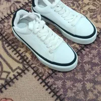 کفش اسپرت شیک