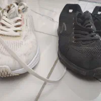 کفش مجلسی و کفش اسپرت زنانه|کیف، کفش، کمربند|کرمانشاه, |دیوار