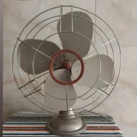وستینگ هوس امریکایی رنگ بژ کمیاب درحد نو