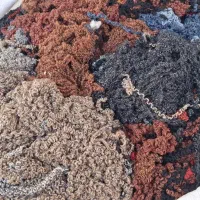 کاموا درجه 1