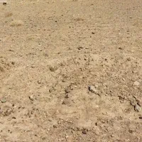 زمین مسکونی در دهنو پشت شهرک صنعتی