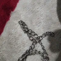 گمشدها