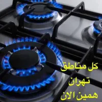 تعمیرکار تعمیرات ساید یخچال پکیج اجاق گاز لباسشویی|خدمات پیشه و مهارت|تهران, استاد معین|دیوار